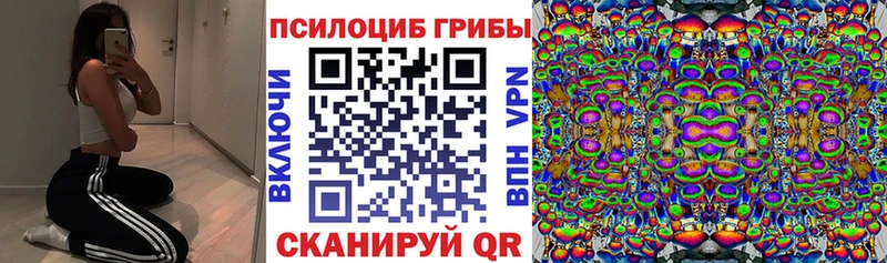 Псилоцибиновые грибы Psilocybe  Купить  Яранск 